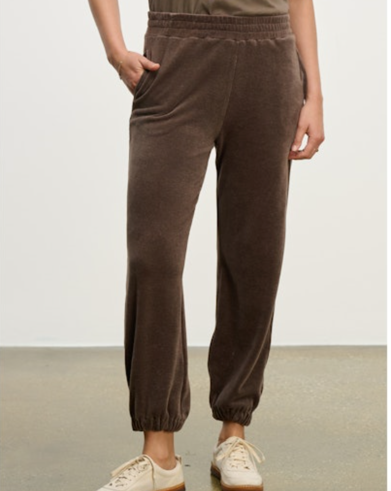 Velvet by Graham & Spencer Essie Pant (2 colors)