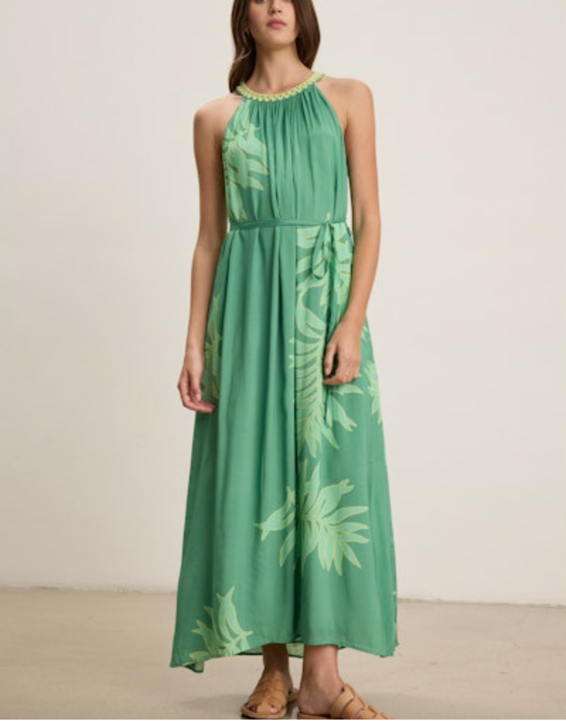 Velvet by Graham & Spencer Odessa Halter Dress