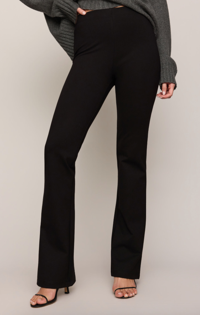 Z supply Ives Ponte Pant