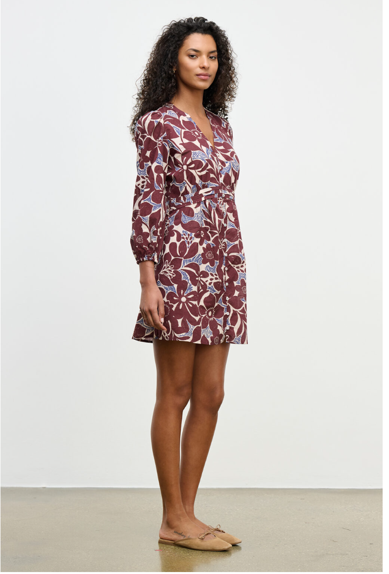Velvet by Graham & Spencer Tessa Dress