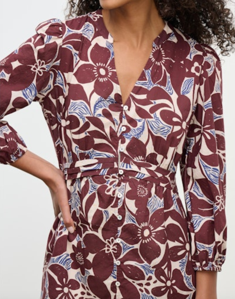 Velvet by Graham & Spencer Tessa Dress