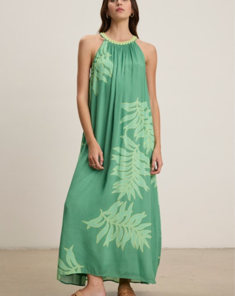 Velvet by Graham & Spencer Odessa Halter Dress