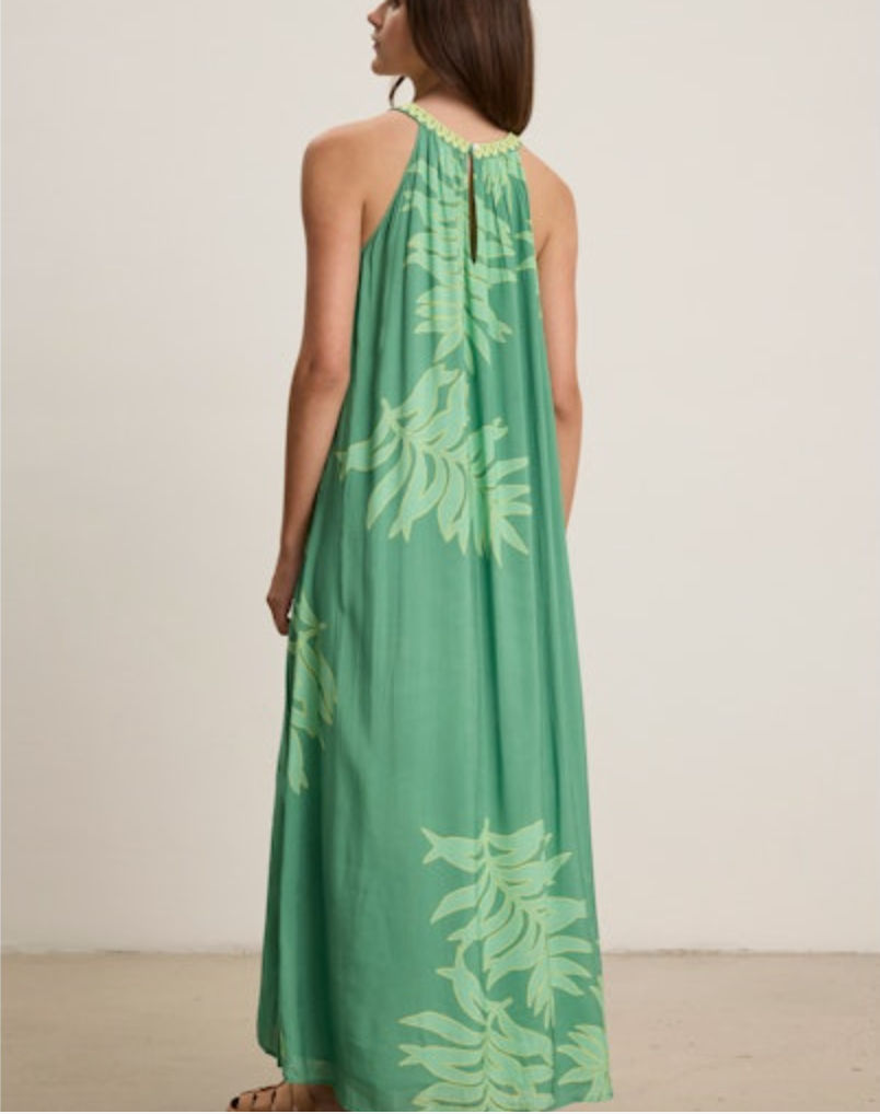 Velvet by Graham & Spencer Odessa Halter Dress
