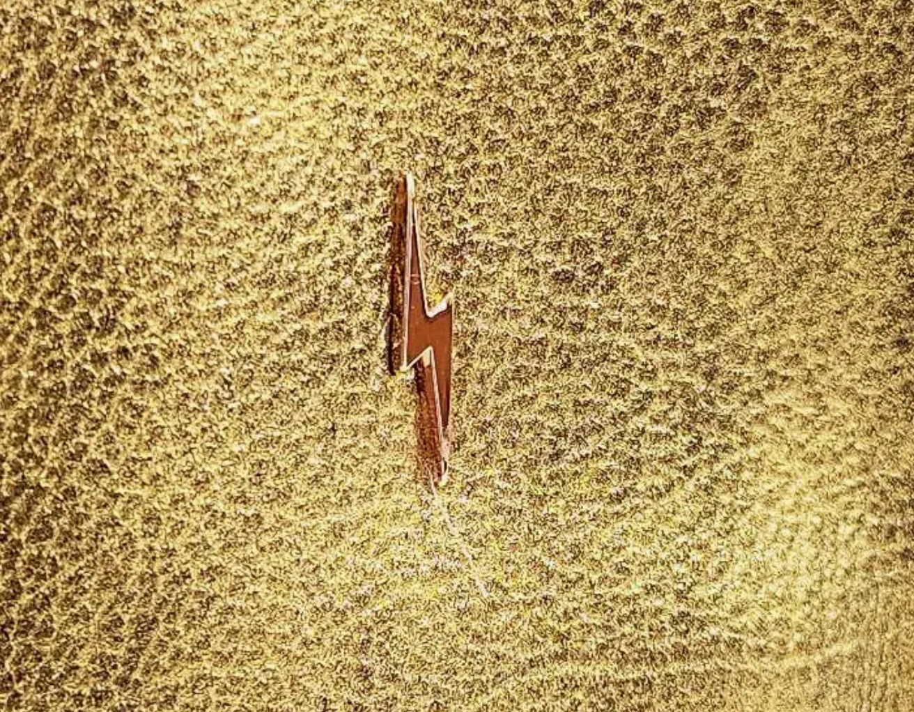 Golden Bolt Pouch