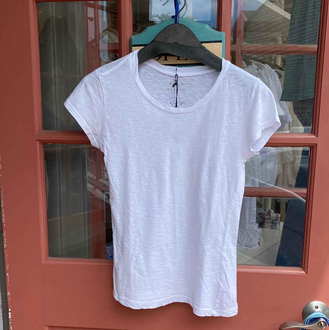 Velvet by Graham & Spencer Odelia Tee in White