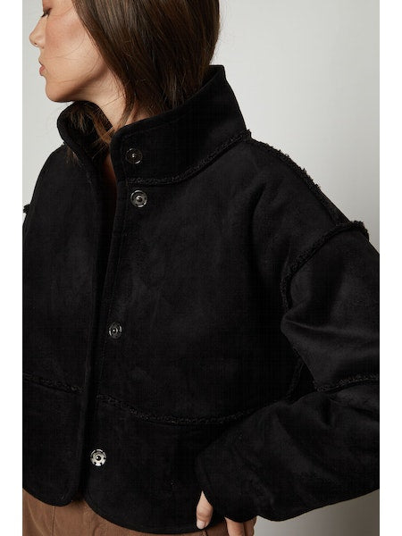 Velvet by Graham & Spencer Kelly Jacket