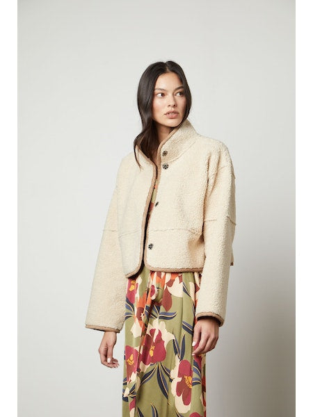 Velvet by Graham & Spencer Kelly Jacket