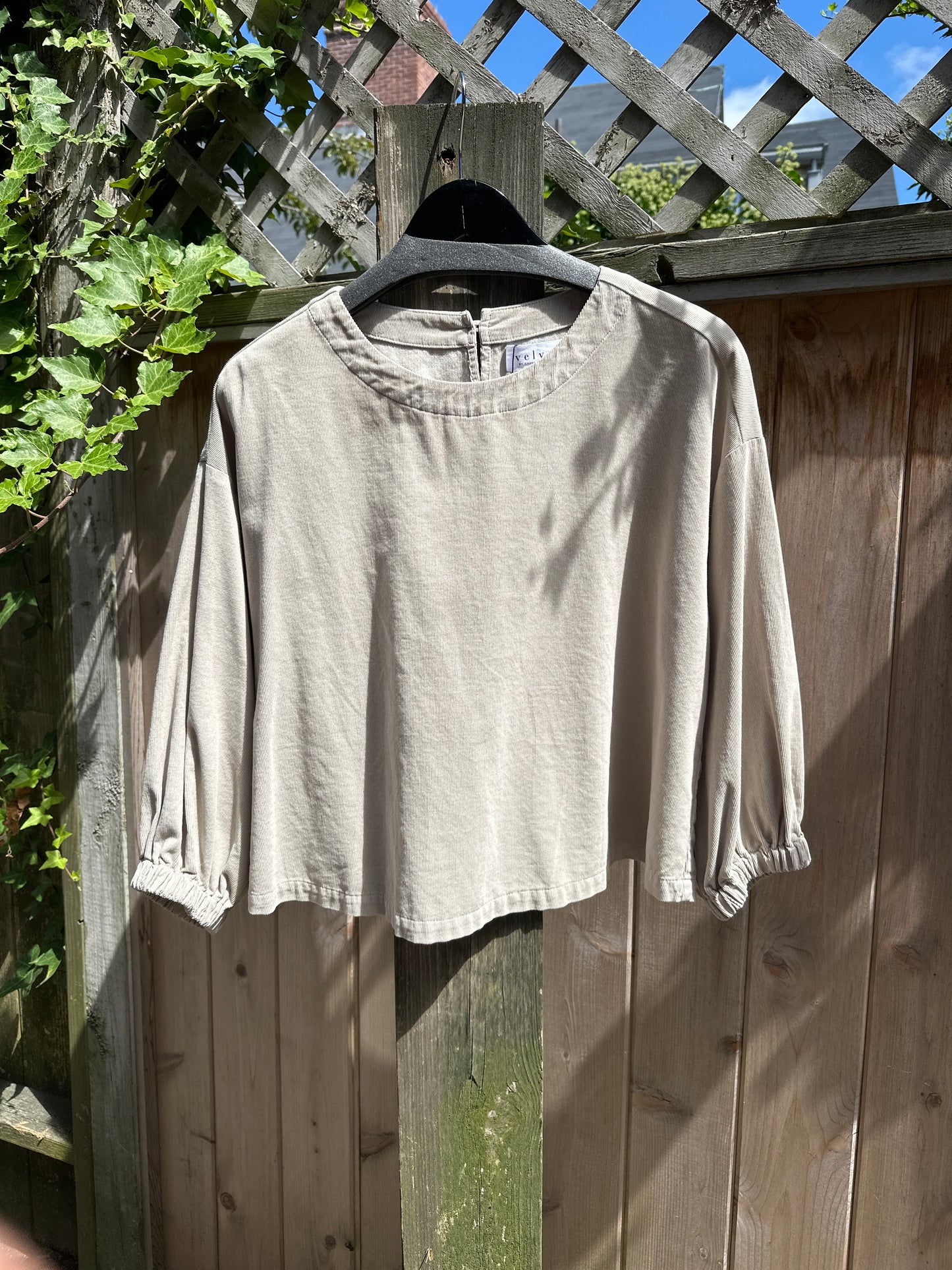 Velvet by Graham & Spencer Shay Popover Top