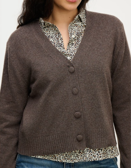 Velvet by Graham & Spencer Etna Cardigan Sweater