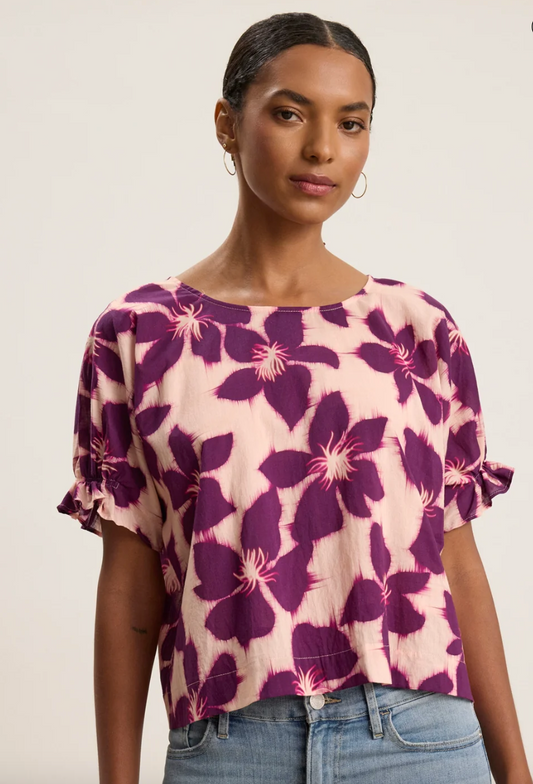 Velvet by Graham & Spencer Delilah Top in Berry