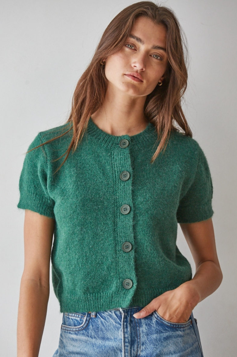 Button Down Short Sleeve Knit Sweater in Blue-Grey or Green
