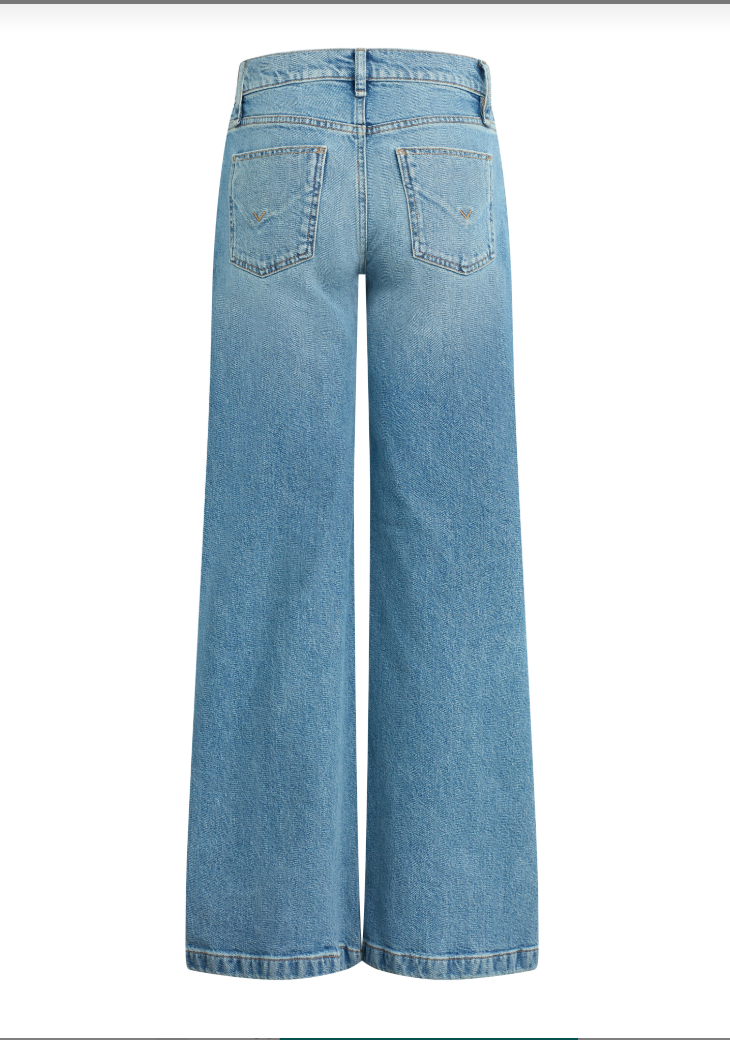 Hudson Rylee Low-rise Loose Pant in Enlighten
