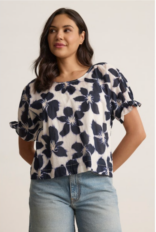 Velvet by Graham & Spencer Delilah Top