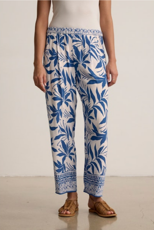 Velvet by Graham & Spencer Claudia Pants
