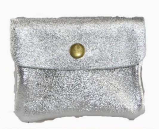 Coin cozy in silver
