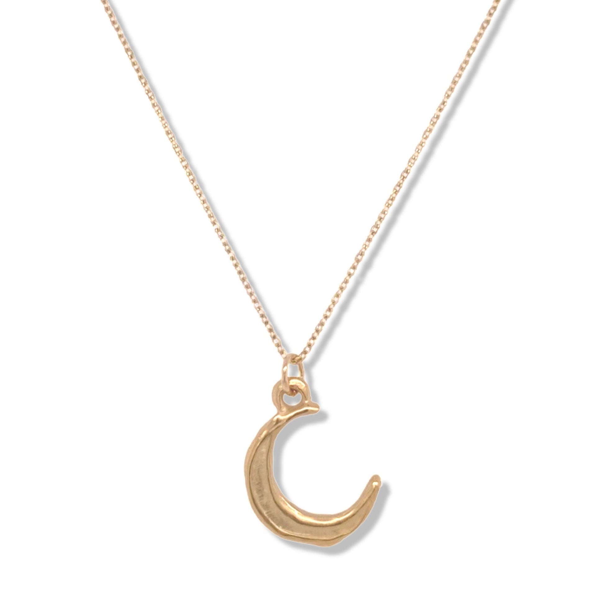Cosmic Moon Charm Necklace in Gold | Nalu | Nantucket